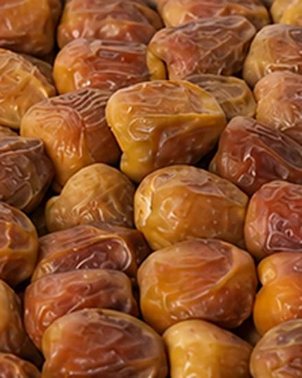 حبات السكري الجالكسي الفاخر عن قرب