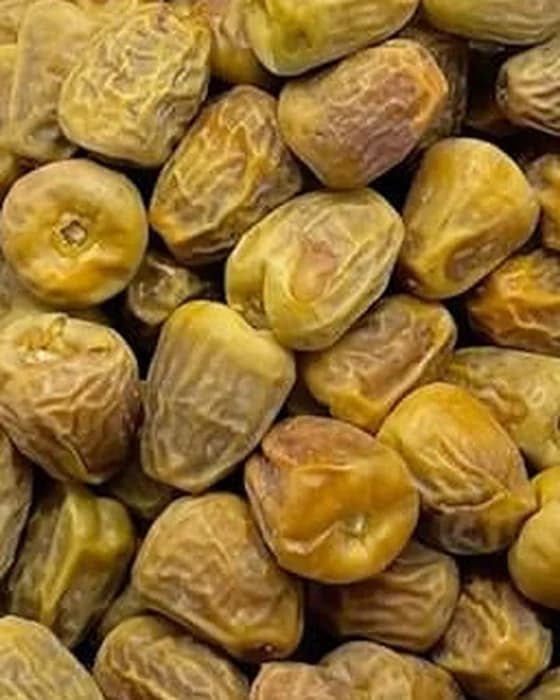 حبات المفتل الوسط عن قرب