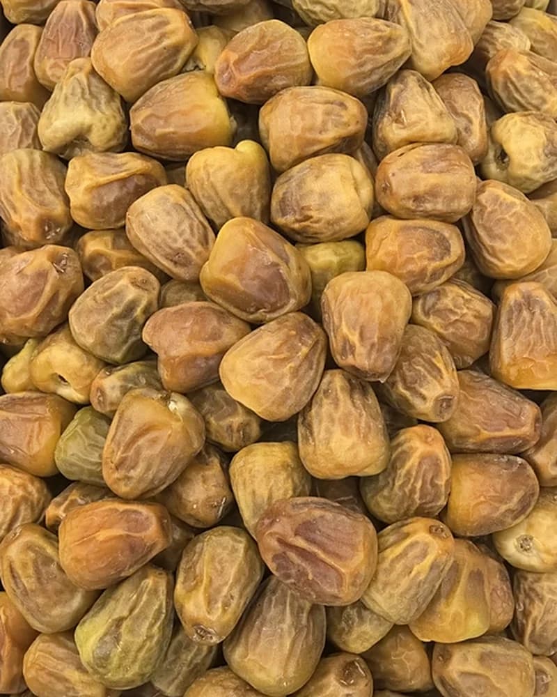 حبات المفتل الملكي عن قرب