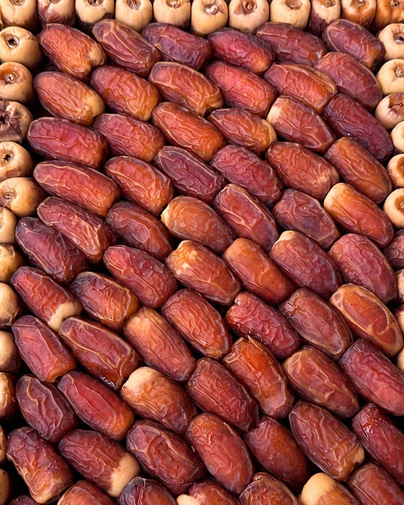 صقعي مصفوف صفوفا، وحوله صف من الحبات القائمة
