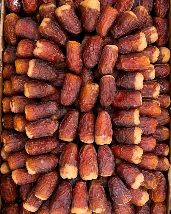 حبات صقعي مصفوفة صفوفا